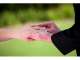 Creating Magical Moments - Vikki Speller - Civil Marriage Celebrant