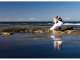 Creating Magical Moments - Vikki Speller - Civil Marriage Celebrant