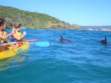 Epic Ocean Adventures Noosa