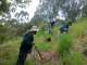 Noosa & District Landcare