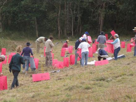 Noosa & District Landcare