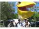 Pelican Boat Hire