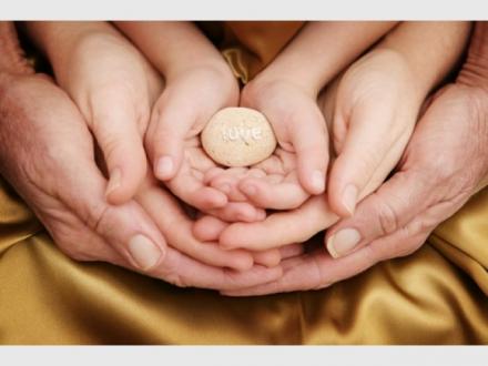 Provision Wealth Management