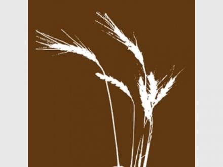 Provision Wealth Management