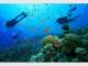 SubSurface Scuba