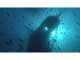 Sunreef Scuba Diving Services Sunreef Scuba Diving Services