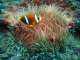 Sunreef Scuba Diving Services Sunreef Scuba Diving Services