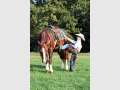 GET BOOT SCOOTIN’ AT THE STELLA MUSTER