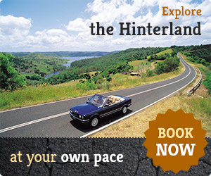 Sunshine Coast Hinterland Tours