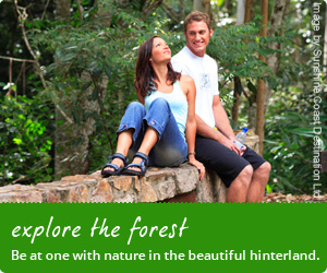 Bushwalking banner