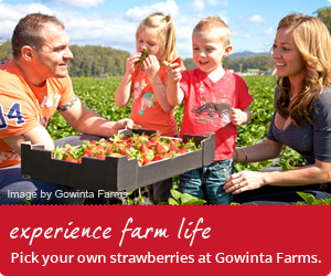Gowinta Farms banner