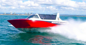 Whale Watching Jet Boat Ride - 2 hours