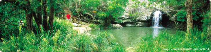 Bushwalking Treks & Trails