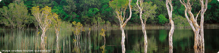 Gliding through the Everglades