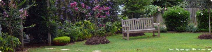 Mango Hill Farm