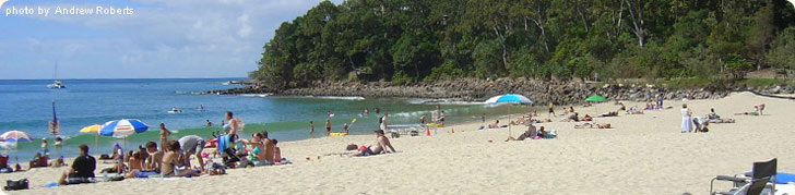 Noosa Picture Tour