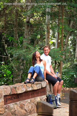 bushwalking tracks Sunshine Coast