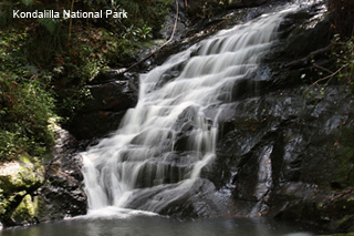 Kondalilla National Park Waterfall