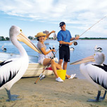 Maroochydore & Mooloolaba Picture Tour