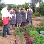 Mango Hill Farm - Picture Tour