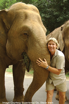 Steve Irwin