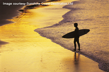 surfing on the Sunshine Coast