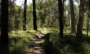 glass house mountains national park