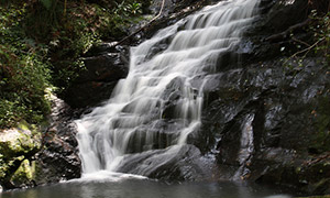 kondalilla national park