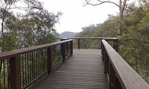 Mapleton Falls National Park Lookout